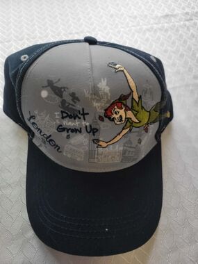 Disney Peter Pan Grey and Black Cap with Green and Red Graphic